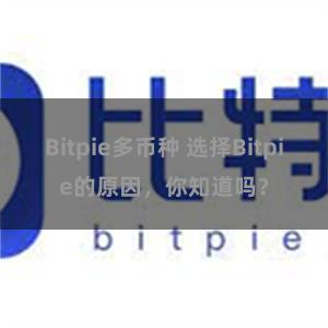 Bitpie多币种 选择Bitpie的原因，你知道吗？