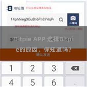 Bitpie APP 选择Bitpie的原因，你知道吗？