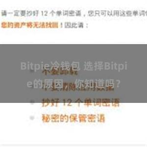 Bitpie冷钱包 选择Bitpie的原因，你知道吗？