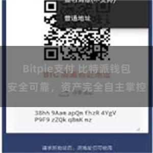 Bitpie支付 比特派钱包安全可靠，资产完全自主掌控