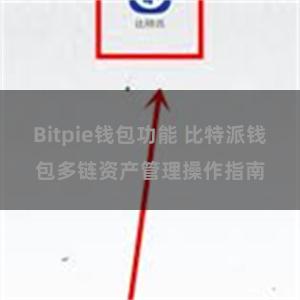 Bitpie钱包功能 比特派钱包多链资产管理操作指南