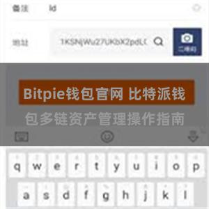 Bitpie钱包官网 比特派钱包多链资产管理操作指南