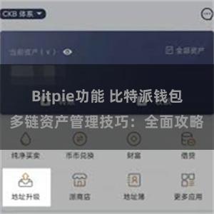 Bitpie功能 比特派钱包多链资产管理技巧：全面攻略