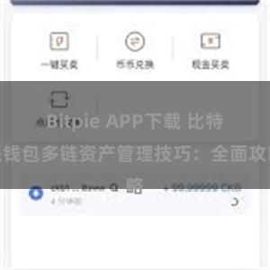 Bitpie APP下载 比特派钱包多链资产管理技巧：全面攻略