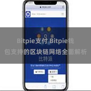 Bitpie支付 Bitpie钱包支持的区块链网络全面解析