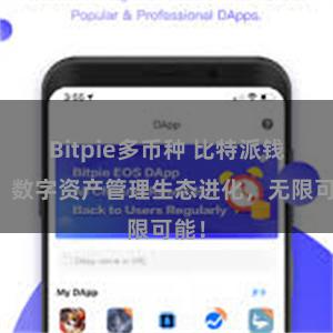 Bitpie多币种 比特派钱包：数字资产管理生态进化，无限可能！