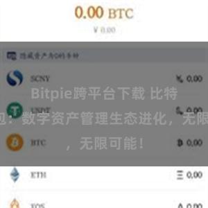 Bitpie跨平台下载 比特派钱包：数字资产管理生态进化，无限可能！