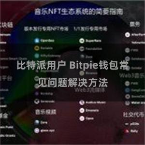 比特派用户 Bitpie钱包常见问题解决方法