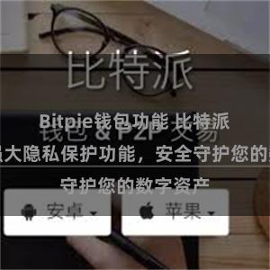 Bitpie钱包功能 比特派钱包：强大隐私保护功能，安全守护您的数字资产