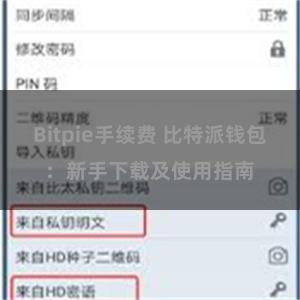 Bitpie手续费 比特派钱包：新手下载及使用指南