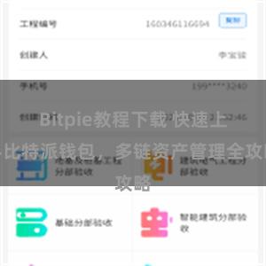 Bitpie教程下载 快速上手比特派钱包，多链资产管理全攻略