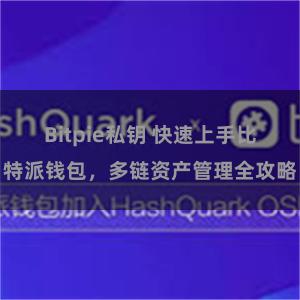 Bitpie私钥 快速上手比特派钱包，多链资产管理全攻略