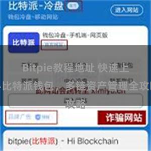 Bitpie教程地址 快速上手比特派钱包，多链资产管理全攻略