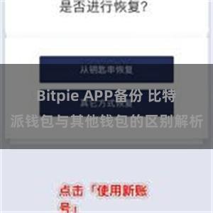 Bitpie APP备份 比特派钱包与其他钱包的区别解析