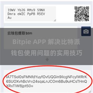 Bitpie APP 解决比特派钱包使用问题的实用技巧