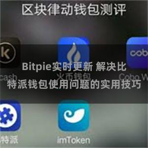 Bitpie实时更新 解决比特派钱包使用问题的实用技巧