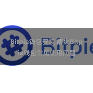 Bitpie钱包安装 解决Bitpie钱包常见使用问题