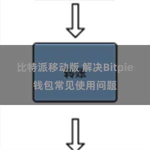 比特派移动版 解决Bitpie钱包常见使用问题