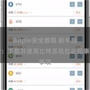 Bitpie安全教程 新手指南：下载并使用比特派钱包必知事项