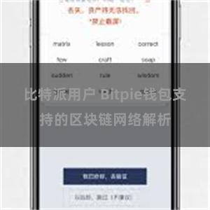 比特派用户 Bitpie钱包支持的区块链网络解析