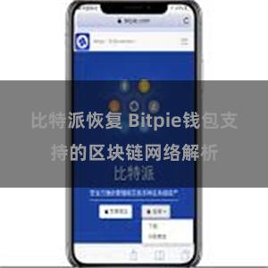 比特派恢复 Bitpie钱包支持的区块链网络解析