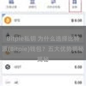 Bitpie私钥 为什么选择比特派(Bitpie)钱包？五大优势揭秘