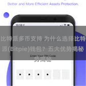 比特派多币支持 为什么选择比特派(Bitpie)钱包？五大优势揭秘