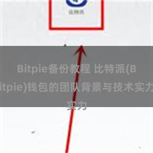 Bitpie备份教程 比特派(Bitpie)钱包的团队背景与技术实力