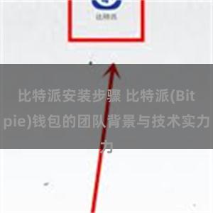 比特派安装步骤 比特派(Bitpie)钱包的团队背景与技术实力