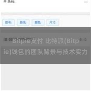 Bitpie支付 比特派(Bitpie)钱包的团队背景与技术实力