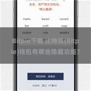 Bitpie下载 比特派(Bitpie)钱包有哪些隐藏功能？