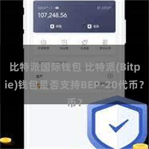 比特派国际钱包 比特派(Bitpie)钱包是否支持BEP-20代币？