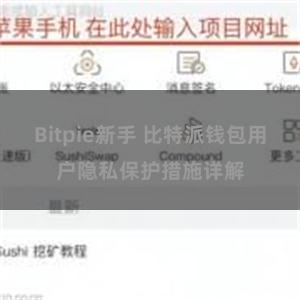 Bitpie新手 比特派钱包用户隐私保护措施详解