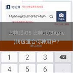 比特派iOS 比特派(Bitpie)钱包适合何种用户？