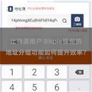 比特派用户 Bitpie钱包的地址分组功能如何提升效率？