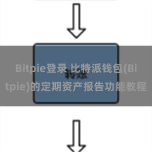 Bitpie登录 比特派钱包(Bitpie)的定期资产报告功能教程