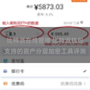 比特派在线管理 比特派钱包支持的资产分层加密工具评测