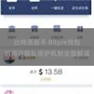 比特派新手 Bitpie钱包的用户隐私保护机制全面解读