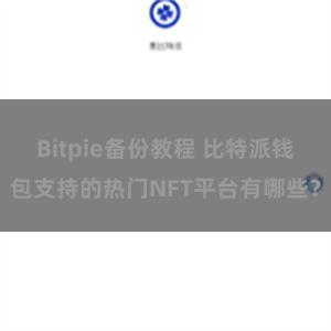 Bitpie备份教程 比特派钱包支持的热门NFT平台有哪些？