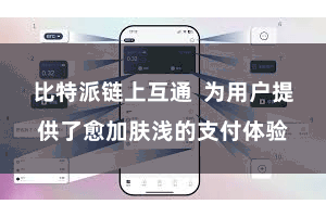 比特派链上互通 为用户提供了愈加肤浅的支付体验