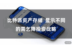 比特派资产存储  显示不同的需乞降投资战略