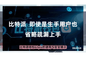 比特派 即使是生手用户也省略疏漏上手